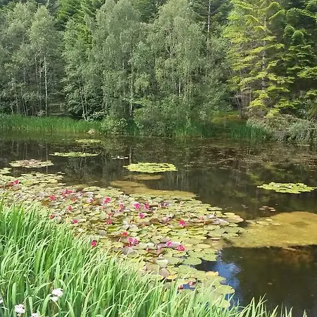 1 Soerskaarveien Tau